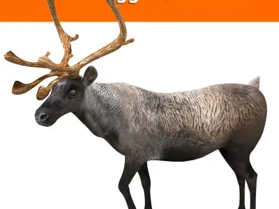 Reindeer Rigged  Animated model 3D Low-poly 3D model