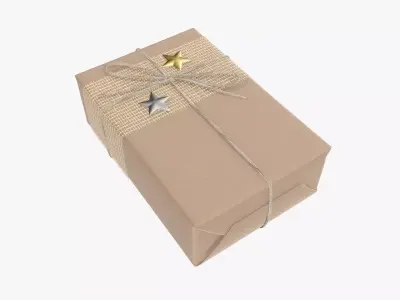 Wrapped Christmas gift 07 3D model