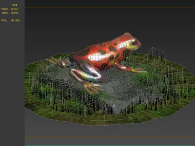 Jungle frogs poison dart frogs rainforest frogs Amphibians 3D model