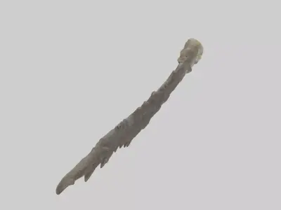 Lizard Rib Low-poly 3D model