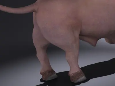 Bull rigged for 3dsmax 3D model