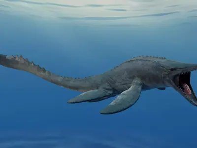 Mosasaurus Animated Low-poly 3D model