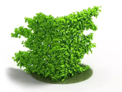 Short Green Dense Shrub 3D model