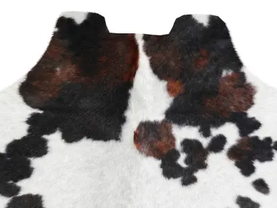 Tricolor Cowhide Rug A26824 3D model