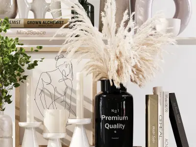 Decorative Set 06 3D model order
