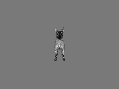 dog cao Low-poly 3D model