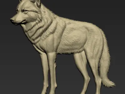 Wolf A105 3D print model