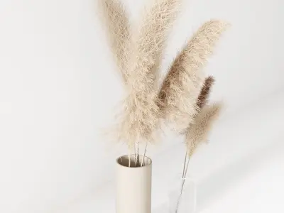 Set of pampas in vase 3D model