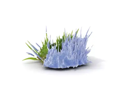 Lush Grass Foliage model pack Low-poly 3D model
