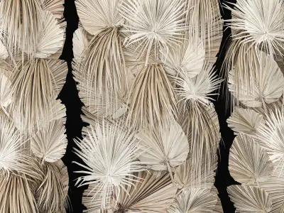 Phytowall Of Dried Flowers And Dry Palm Leaves 3D model