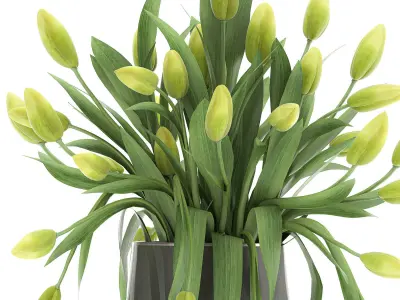 Bouquet of green tulips in a Vase 116 3D model