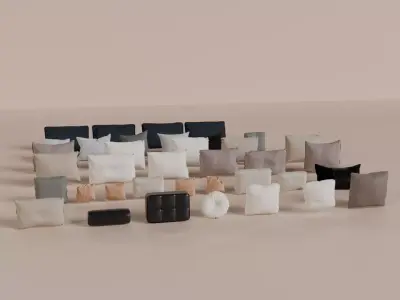 Cushion Pack  30 more Realistic Sofa e Chair Pillows Fabric 3D model