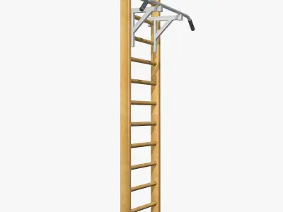 Gymnastic Ladder 3D model
