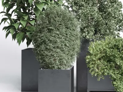 Outdoor plant Collection 113 stand plant box 3D model