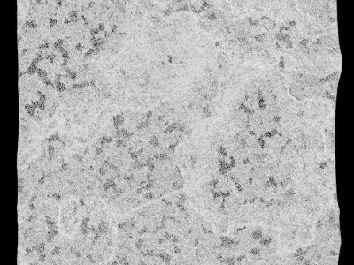 446-RockPanel sandstone wall texture 3D model