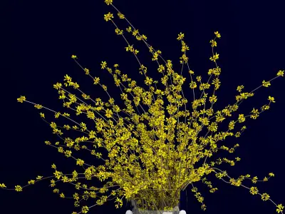 Bouquet of forsythia bush branches in glass vase 3D model