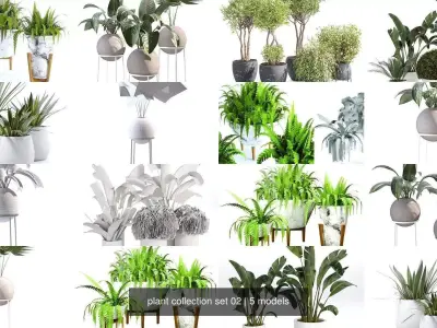 plant collection set 02