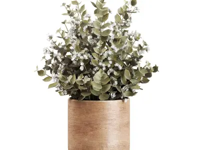 Plants Bouquet 3D model get