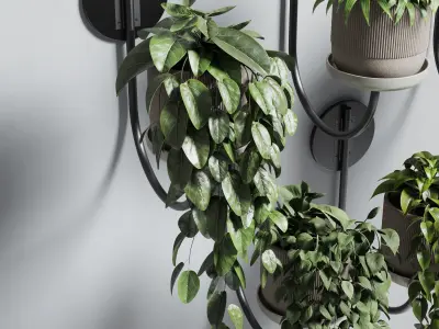 wall plant - collection Indoor plant 180 concrete wall vase 3D model