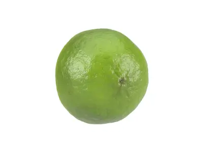 Photorealistic Lime Half 3D Scan 2 3D model