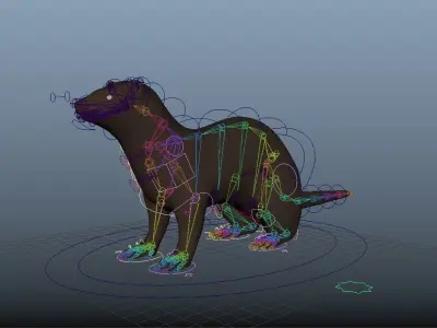 Ferret Rig 3D model