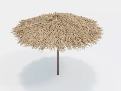 Bamboo Parasol 3D model