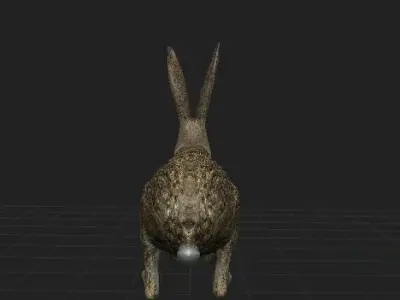 Rabbit Highpoly in grassy field 3D model