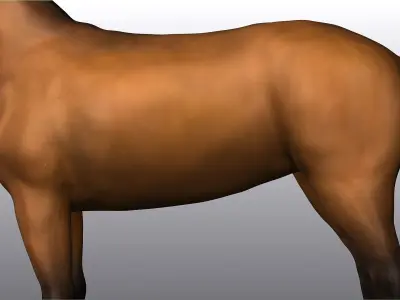Horse Low-poly 3D model