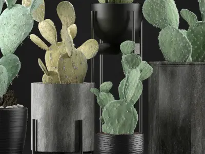 Plants Collection 17 3D model