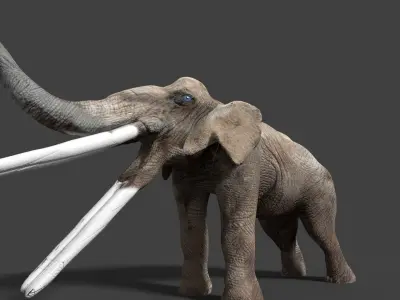 stegotetrabelodon elephant with two tusks 3D model