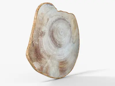 wall clock For Christmas Logs Low-poly 3D model