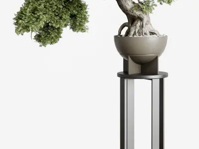 Bonasi Tree in a concrete vase set indoor plant 391 Low-poly 3D model