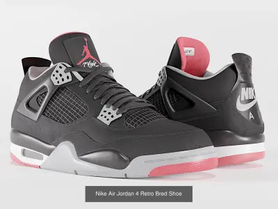 Jordan 4 Retro Complete Pack