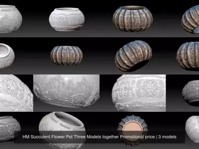 HM Succulent Flower Pot Three Models together Promotional price 3D Model Collection