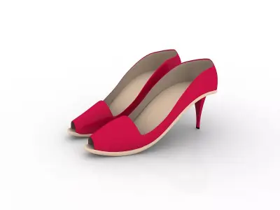 Shose 3D model