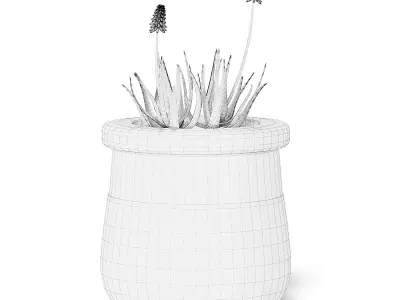 Flowers 3D Model in Large Modern Pot 3D model