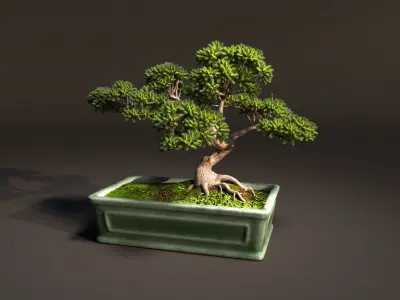 Bonsai tree in pot 3D model