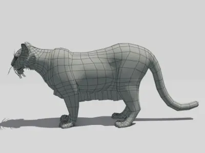 Mountain Lion Animated 3D model