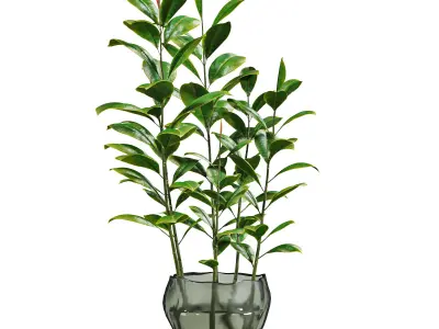bouquet 3D model