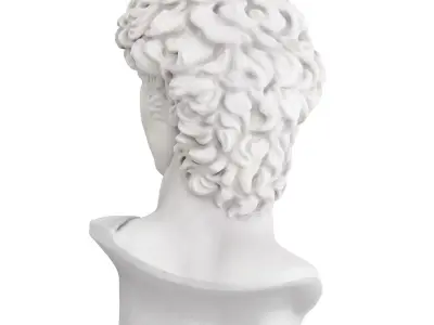 Bust of David Sculpture 3D model