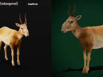 Saiga Antelope Mammal 3D model