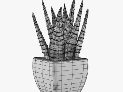 Flower in pot 3D model