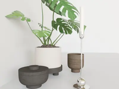 Decorationset Monstera 3D model