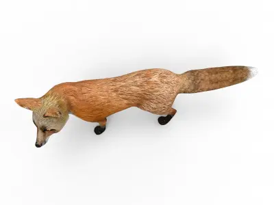 3D Fox rigged Model Low-poly 3D model