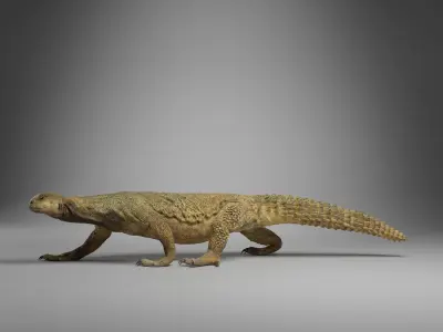 Dhub Lizard Animation - VFX Grace 3D model