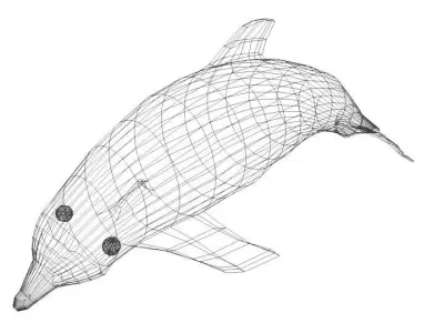 Dolphin - Oceanic 3D model
