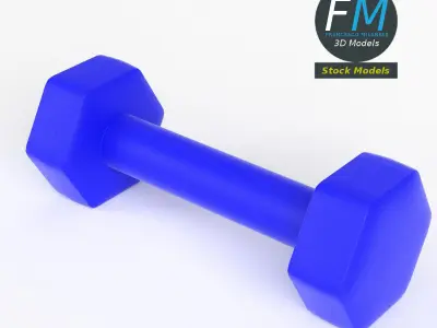Neoprene dumbbell 3D model