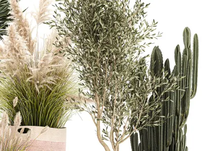 Ornamental plants in fabric baskets for decoration 1093 3D model