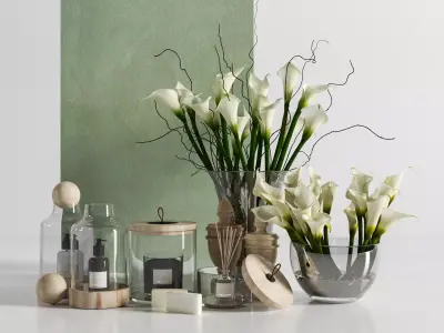 Calla Lily Decoration Set and Aromatherapy Accessories 3D model