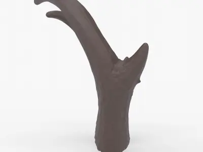 Pronghorn Horns - Sage 3D print model